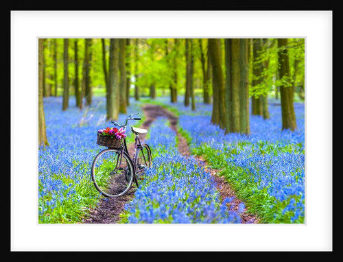 Bicycle in spring forest by Assaf Frank